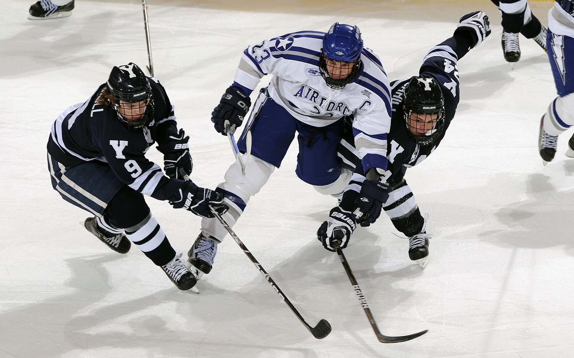 中长距离自由泳稳定发挥，中长距离自由泳关键技术