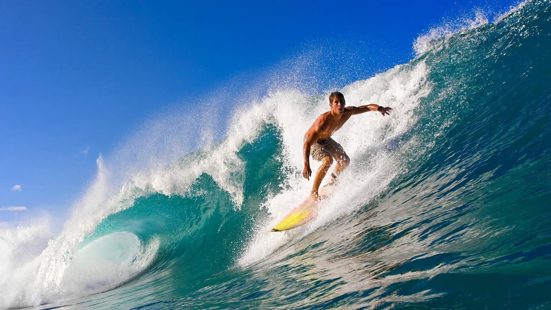 技术雷达图显示团队整体优化趋势，团队能力雷达图