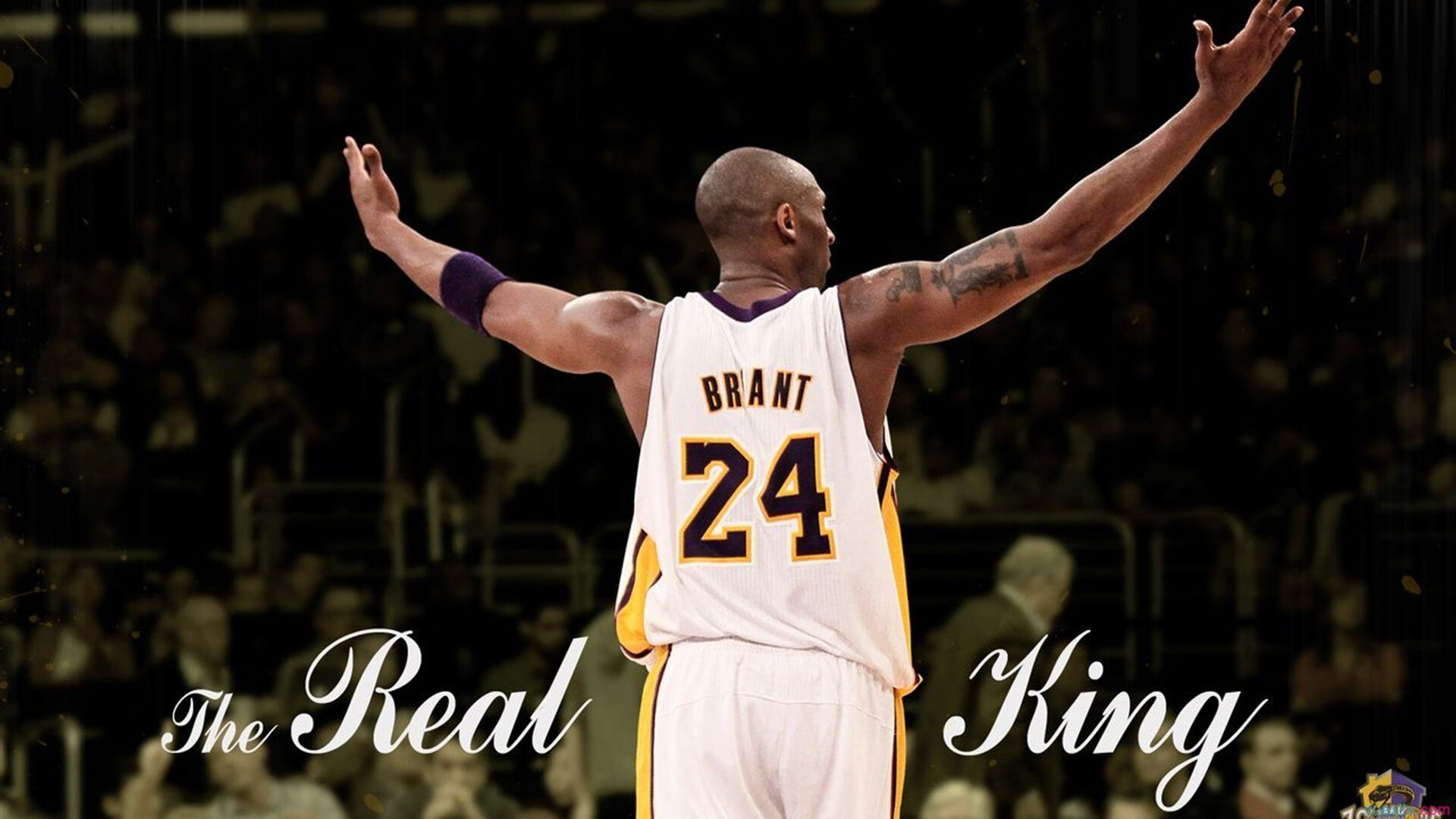 《Dota2》天命之战:全世界最强战队激烈角逐!